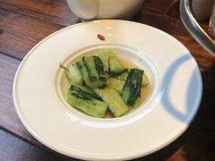凉拌黄瓜-四季春