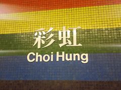 -彩虹村