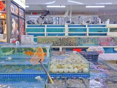 -华威西营里农产品批发市场