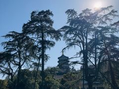 -浙江西子宾馆·牡丹厅