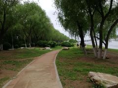 -丁香湖公园
