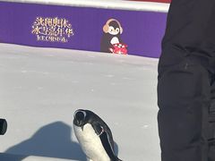 -沈阳奥体冰雪嘉年华