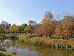 -东郊湿地公园