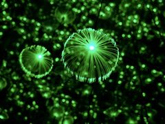 -杭州西湖星空魔幻城(星空艺术馆品牌旗舰店)