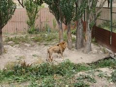-新疆天山野生动物园