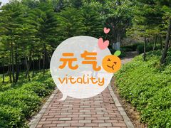 -五通灯塔公园