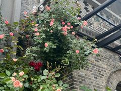 -河畔春天时尚餐厅