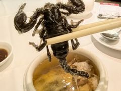 -山泉公馆酒家(珠江新城店)