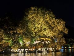 -桂林两江四湖景区