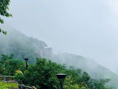 -南山植物园