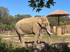 -沈阳森林动物园