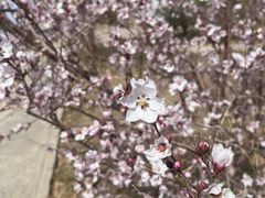 -党河风情线国家水利风景区