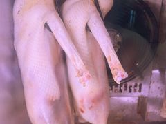 -盛品鲜东莞烧鹅濑粉(杨箕店)
