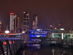 -摆渡站(董家渡站)