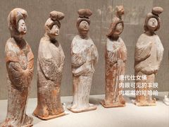 -河南博物院