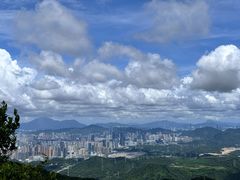 -阳台山森林公园