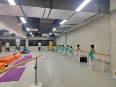 -舞蕾舞蹈(特长生校区)