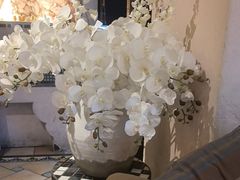 -翡翠鸟精品泰国菜(北辰财富中心店)