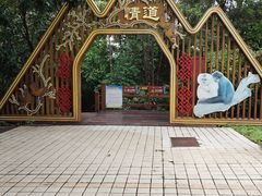 -霸王岭国家森林公园