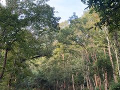 -紫金山山顶公园