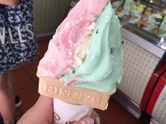 -柠檬车露(卖草地店)