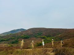 -恋山坝上草原