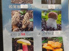 -菌之家·专业纯野生菌火锅·特色炒菌