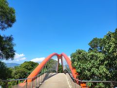-金鸡山公园