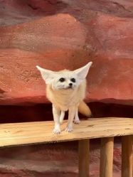 -Zoolung Zoolung动物主题公园(海信广场店)