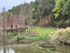-神光山国家森林公园