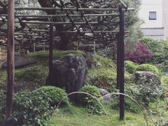 -中村藤吉(本店)