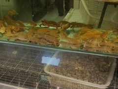 -永红源·小排档(闽江路店)