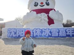 -沈阳奥体冰雪嘉年华