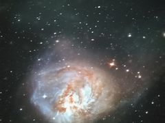 -上海佘山国家森林公园西佘山园