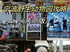 -宁波野生动物园