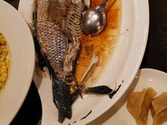 -上海世茂皇家艾美酒店
