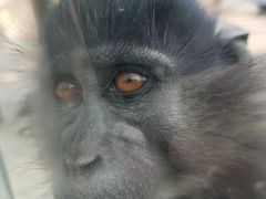 -南京金牛湖风景区