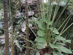 -石家庄市植物园