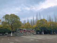 -东平国家森林公园