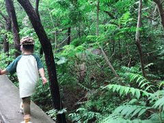 -碓臼峪自然风景区