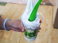 -Salud撒露欧洲冻酸奶(蓝色港湾店)