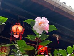 -老宅子私房菜馆(大理古城店)