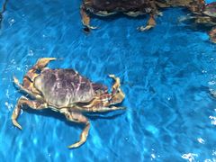 -宝燕海鲜(好爱店)
