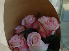 -鹿岛会员店 (龙湖三千集天街店)