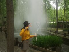 -合肥滨湖国家森林公园