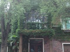 -深圳东部华侨城瀑布酒店