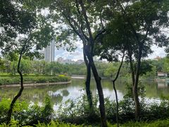 -深圳龙潭公园
