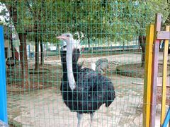 -武汉紫薇都市田园