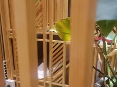 -吉兆·料理(红梅南路店)