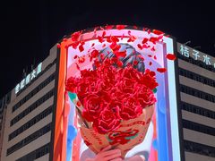 -黄兴南路步行商业街